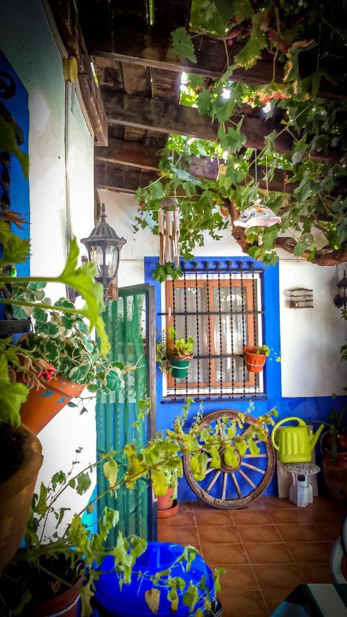Ferienhaus Casa Cueva Alegria Valdeganga